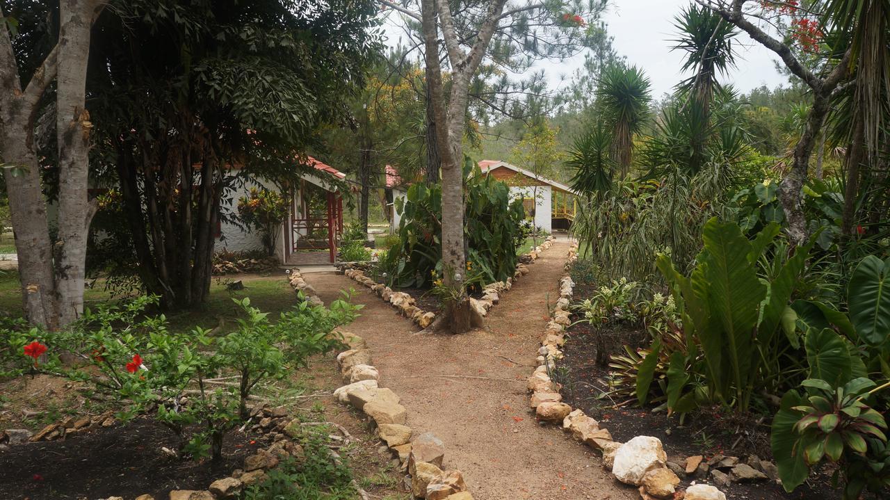 Pine Ridge Lodge San Ignacio Kültér fotó