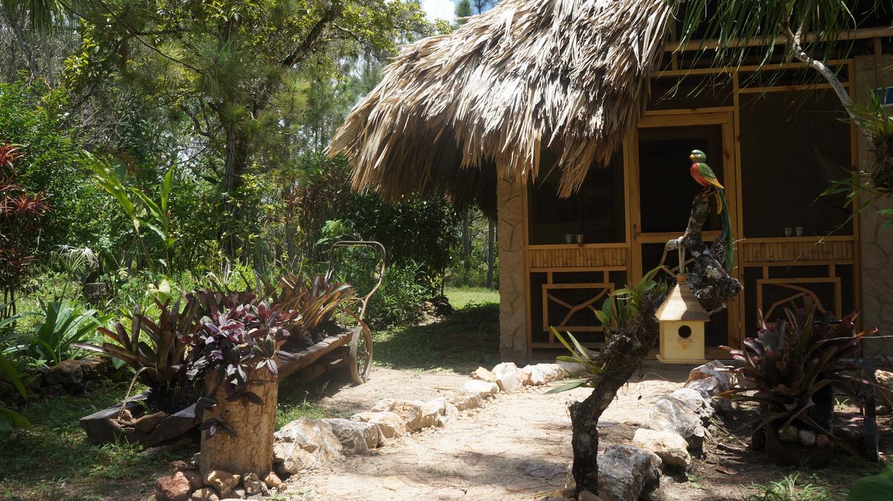 Pine Ridge Lodge San Ignacio Kültér fotó