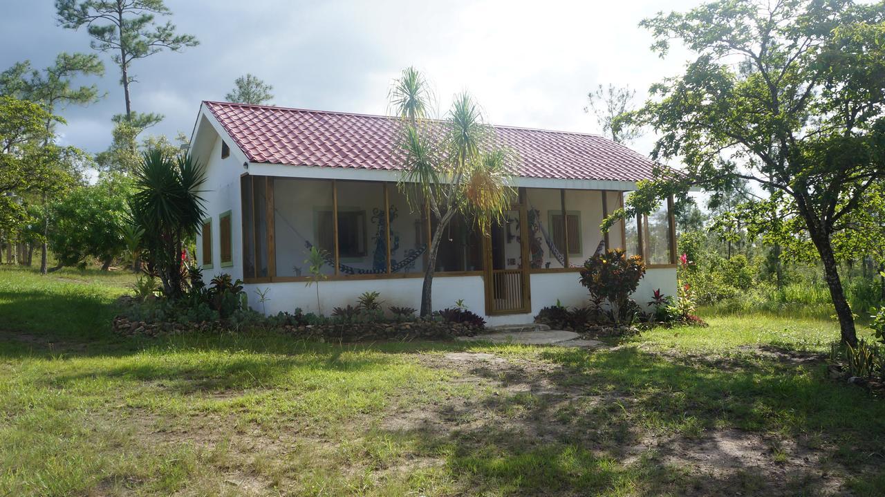 Pine Ridge Lodge San Ignacio Kültér fotó